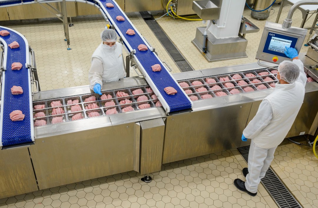 Донские предприятия по промышленному производству мяса индейки и утки выплатили 1,2 млрд рублей налогов в 2023 году